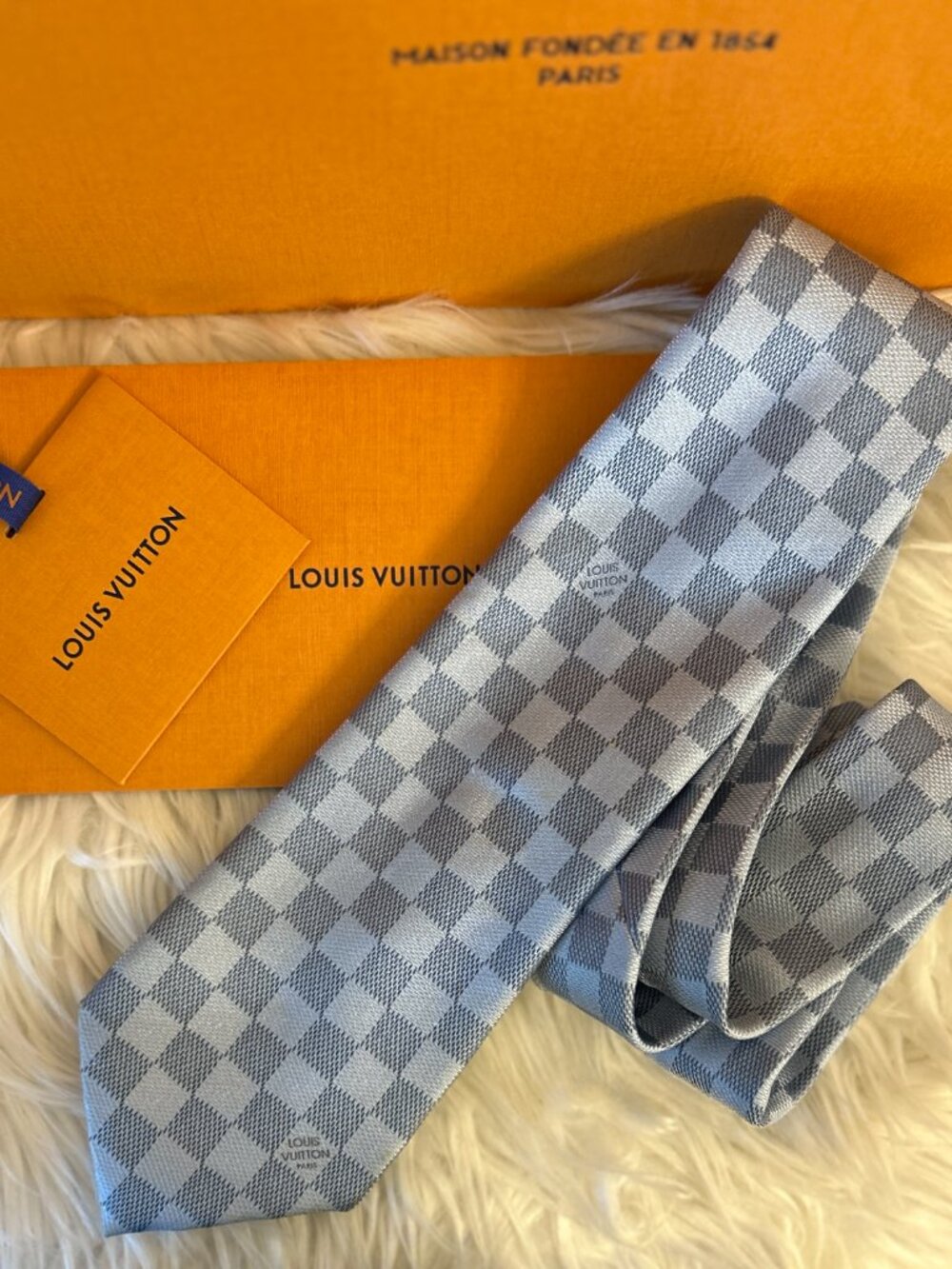Louis Vuitton Damier Tie-dark and light blues